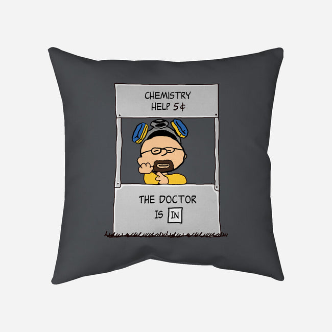 Chemistry Help-none removable cover w insert throw pillow-Melonseta