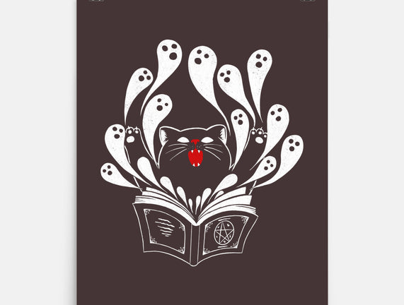 Magic Black Cat