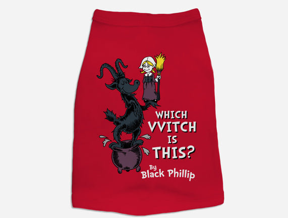 Which VVitch Is This?