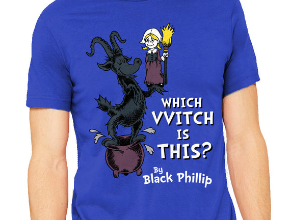 Which VVitch Is This?