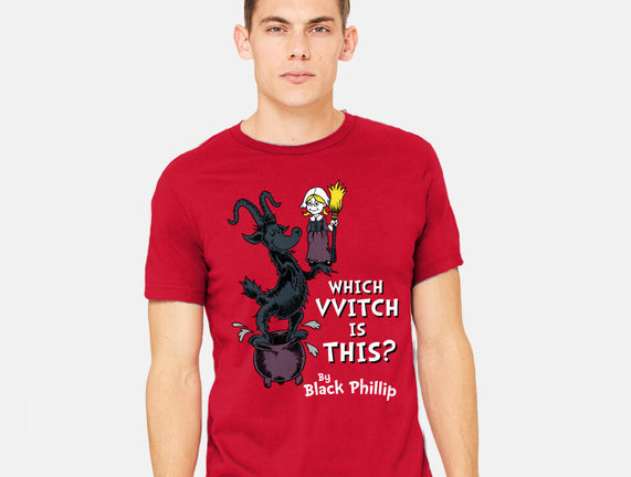 Which VVitch Is This?
