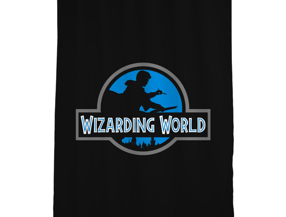 Wizarding World