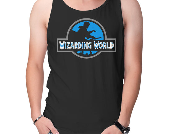 Wizarding World