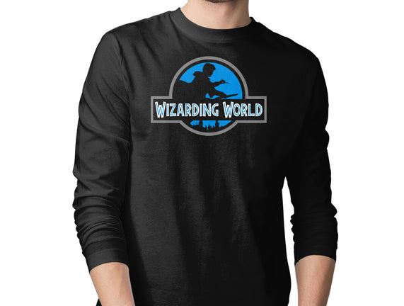 Wizarding World