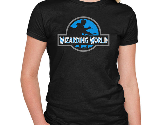 Wizarding World