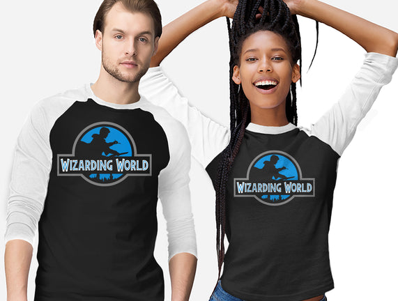 Wizarding World