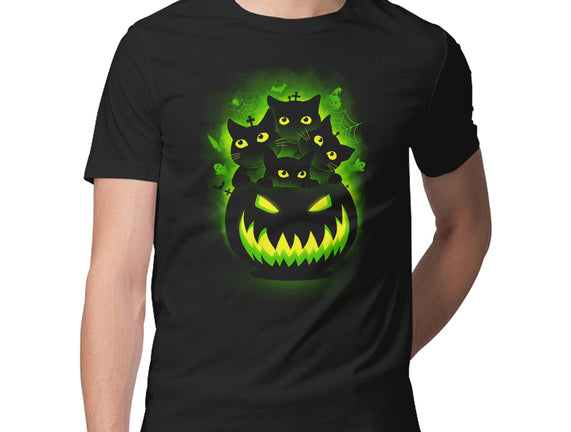 Spooky Pumpkin Cats