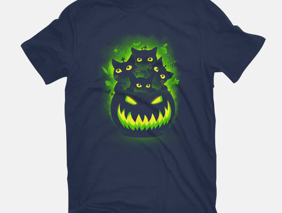 Spooky Pumpkin Cats