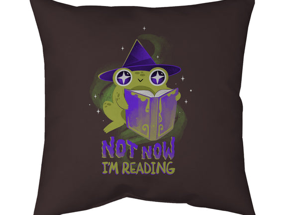 Not Now! I'm Reading