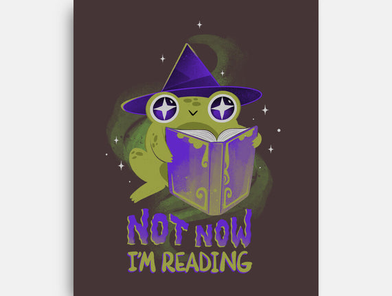 Not Now! I'm Reading