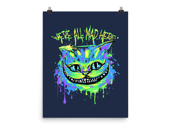 Colorful Mad Cat