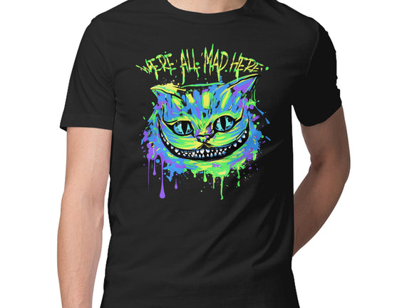Colorful Mad Cat