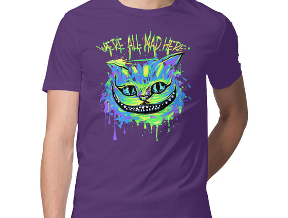 Colorful Mad Cat