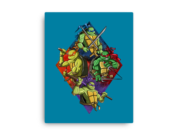 The Turtle Brothers