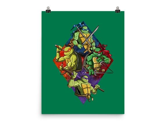 The Turtle Brothers