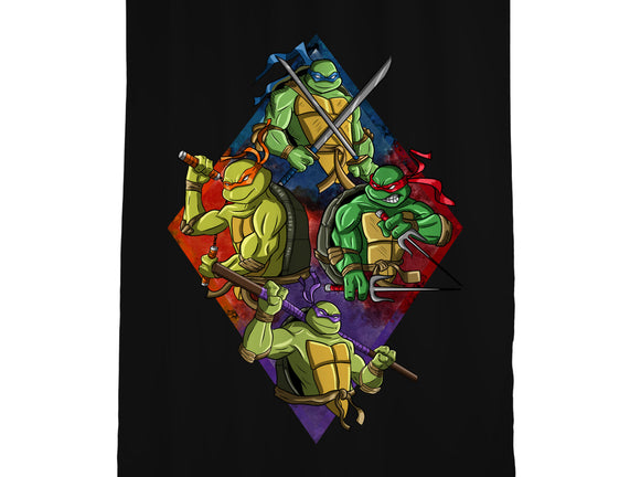 The Turtle Brothers