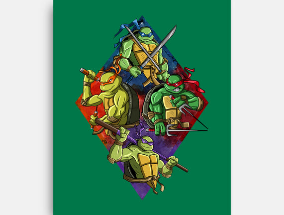The Turtle Brothers