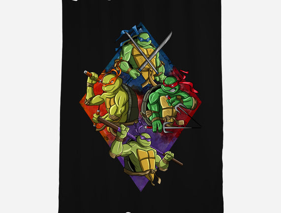 The Turtle Brothers