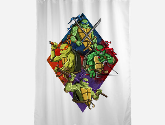 The Turtle Brothers