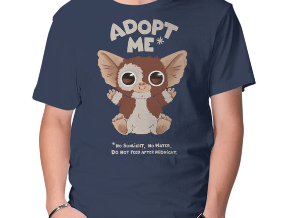 Adopt Me