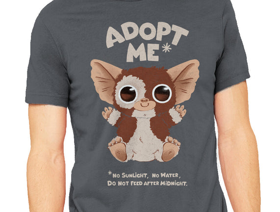 Adopt Me