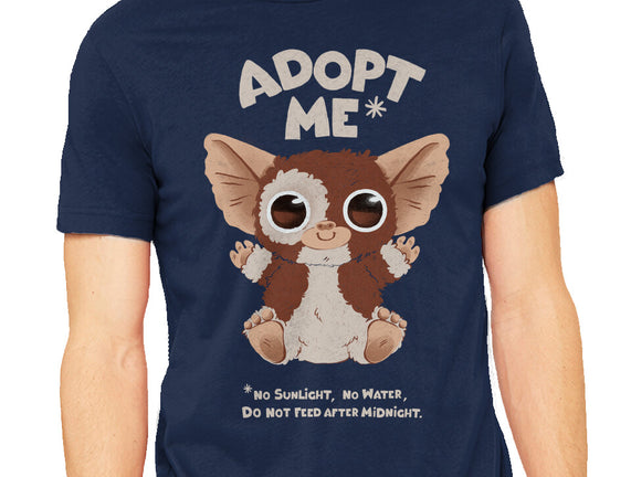 Adopt Me