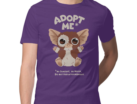 Adopt Me