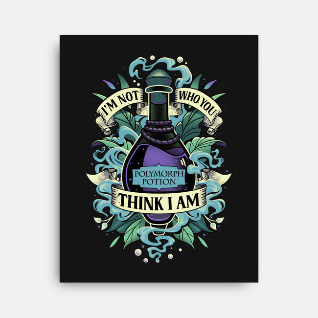 Not Who You Think I Am-none stretched canvas-Snouleaf