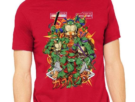 The Fantastic Brothers