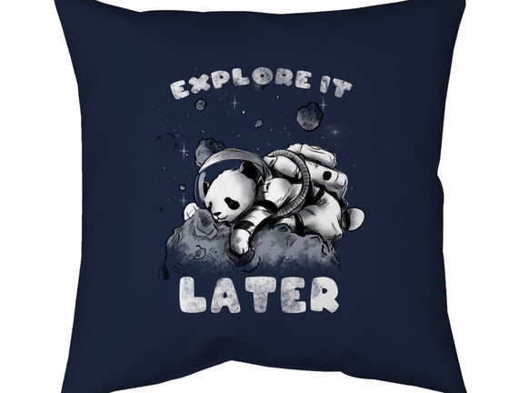 Panda Nap