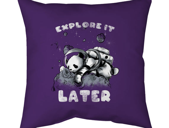 Panda Nap