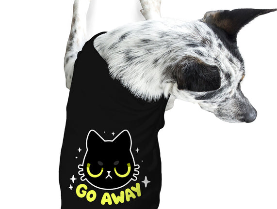 Sassy Cat