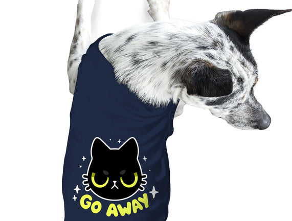 Sassy Cat