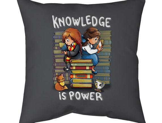 Knowledge Is Power