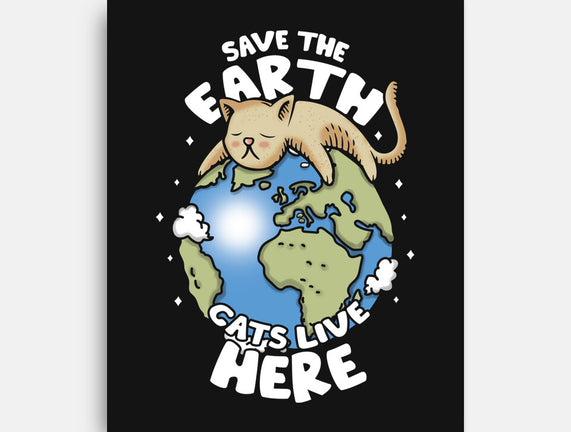 Cats Live Here