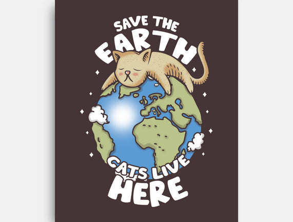 Cats Live Here