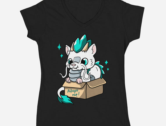 Adopt A Dragon