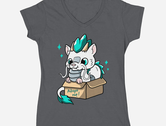 Adopt A Dragon