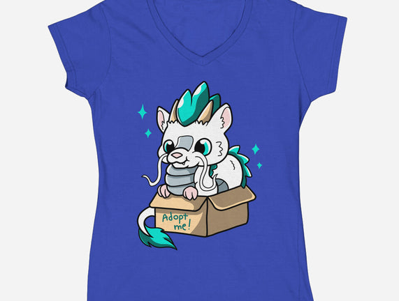 Adopt A Dragon