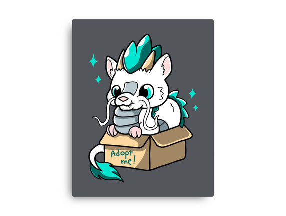 Adopt A Dragon
