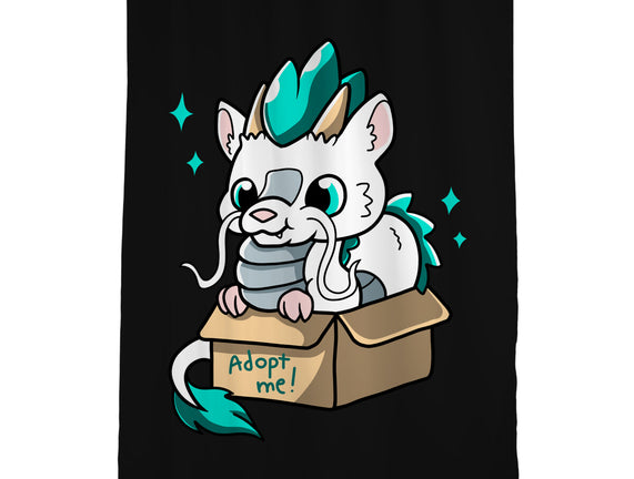 Adopt A Dragon