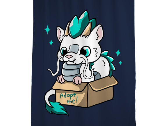 Adopt A Dragon