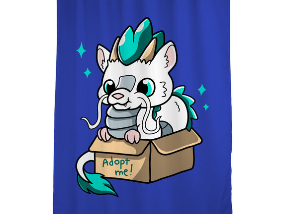 Adopt A Dragon