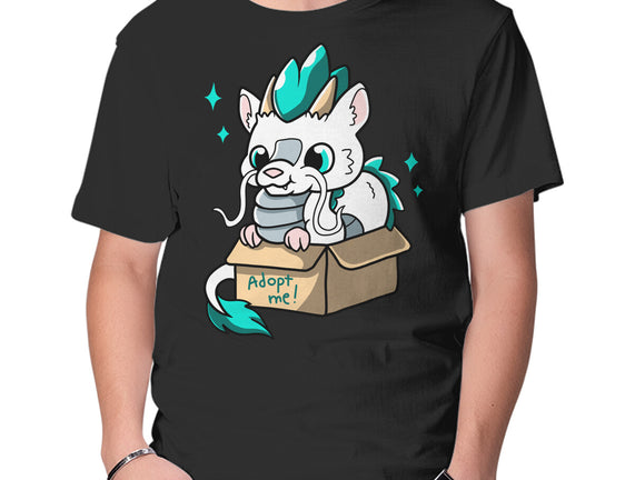Adopt A Dragon