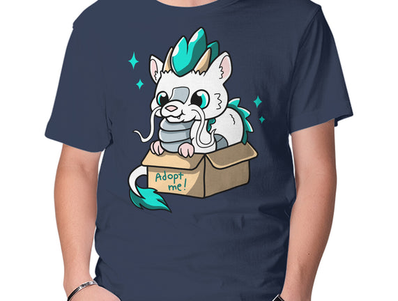 Adopt A Dragon