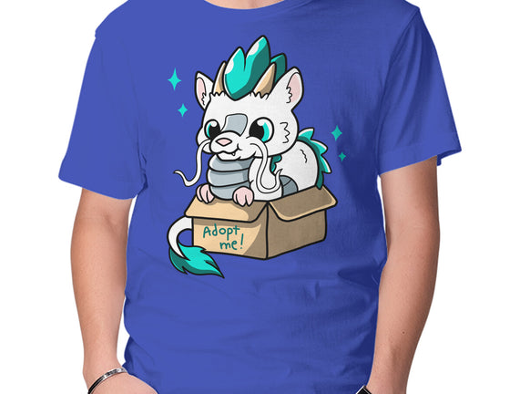 Adopt A Dragon