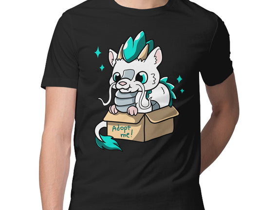 Adopt A Dragon
