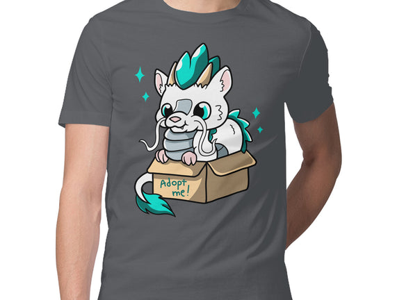 Adopt A Dragon