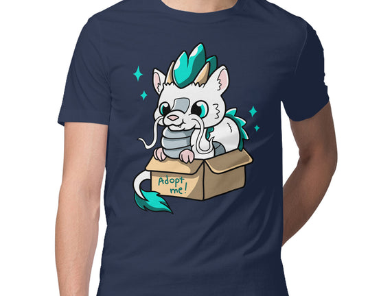 Adopt A Dragon