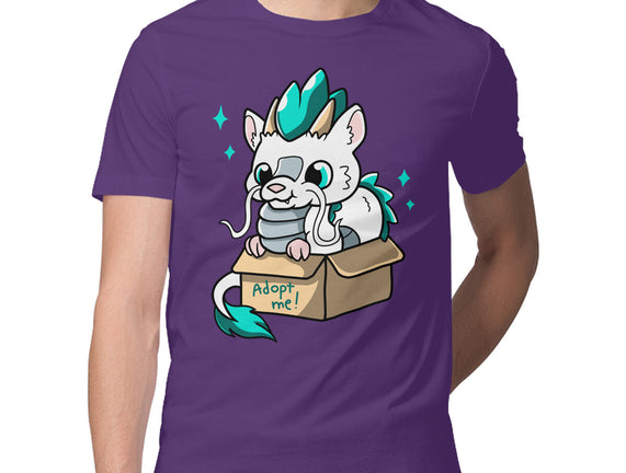 Adopt A Dragon
